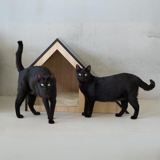 STUDIO ANIMAUX – Puinen kissanmaja pienille lemmikeille| 75 x 50 x 53 cm